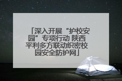 深入开展“护校安园”专项行动 陕西平利多方联动织密校园安全防护网